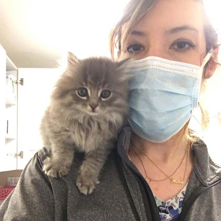St. Albans VT pet hospital